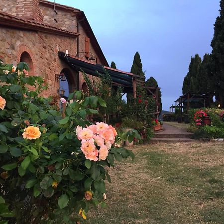 הוילה סנטה לוצ'ה Agriturismo Le Vignacce מראה חיצוני תמונה
